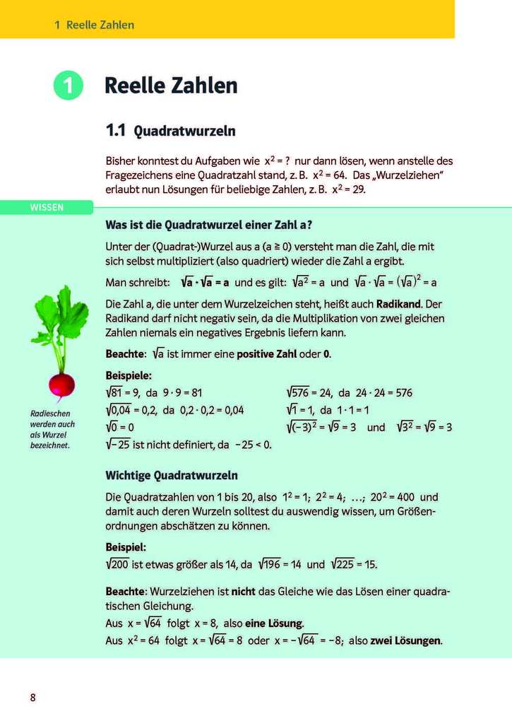 Weitere Ansicht: Klett KomplettTrainer Gymnasium Mathematik 9. Klasse