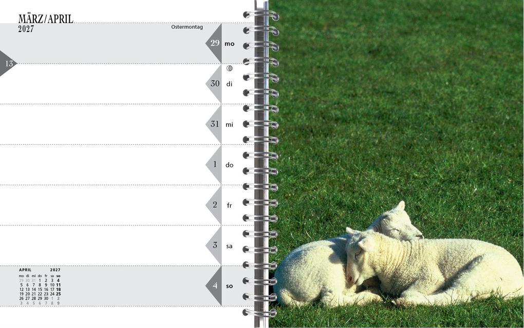Weitere Ansicht: Sylt-die Insel 2027 Tischkalender | Gernot Westendorf