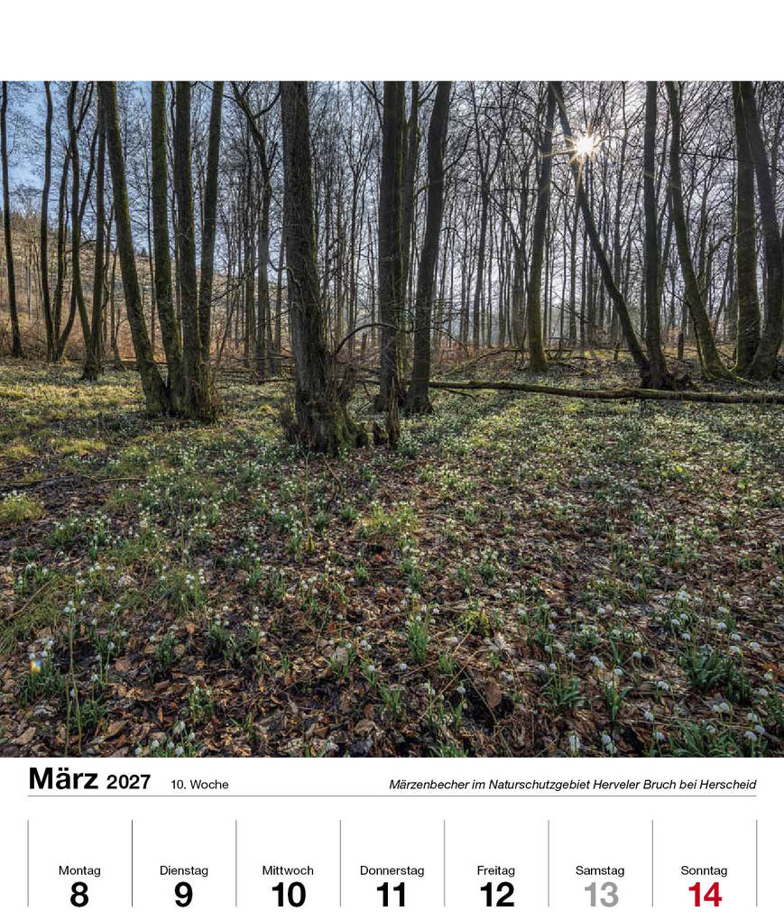 Weitere Ansicht: Schönes Sauerland 2027
