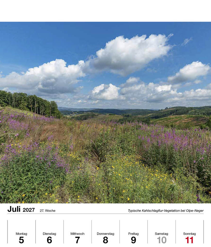 Weitere Ansicht: Schönes Sauerland 2027