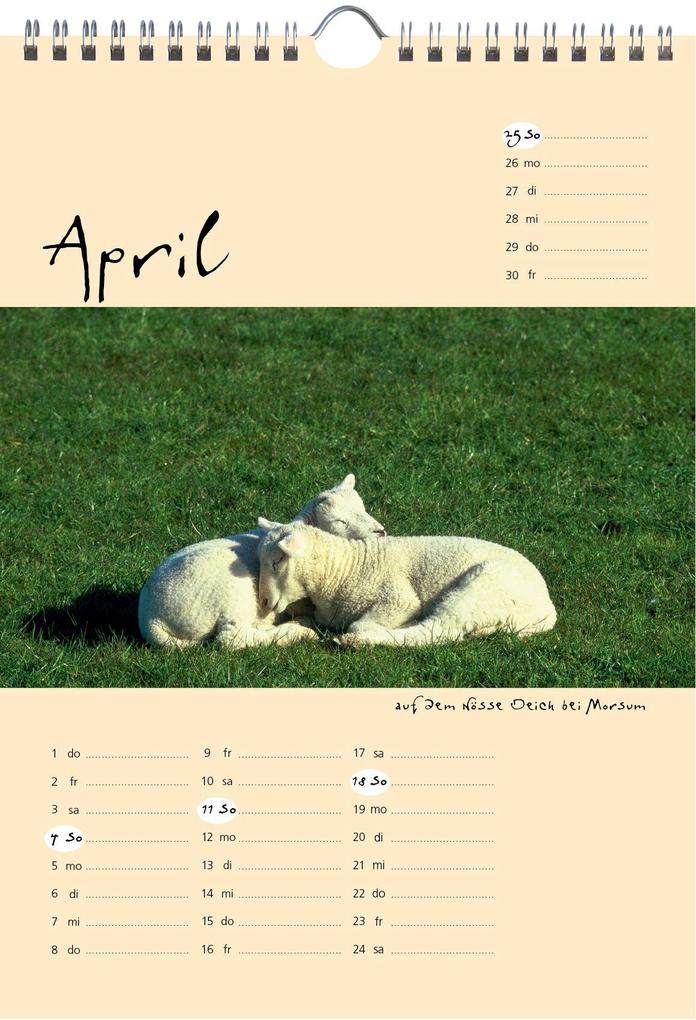 Weitere Ansicht: Sylt-die Insel 2027 A4 Kalender | Gernot Westendorf