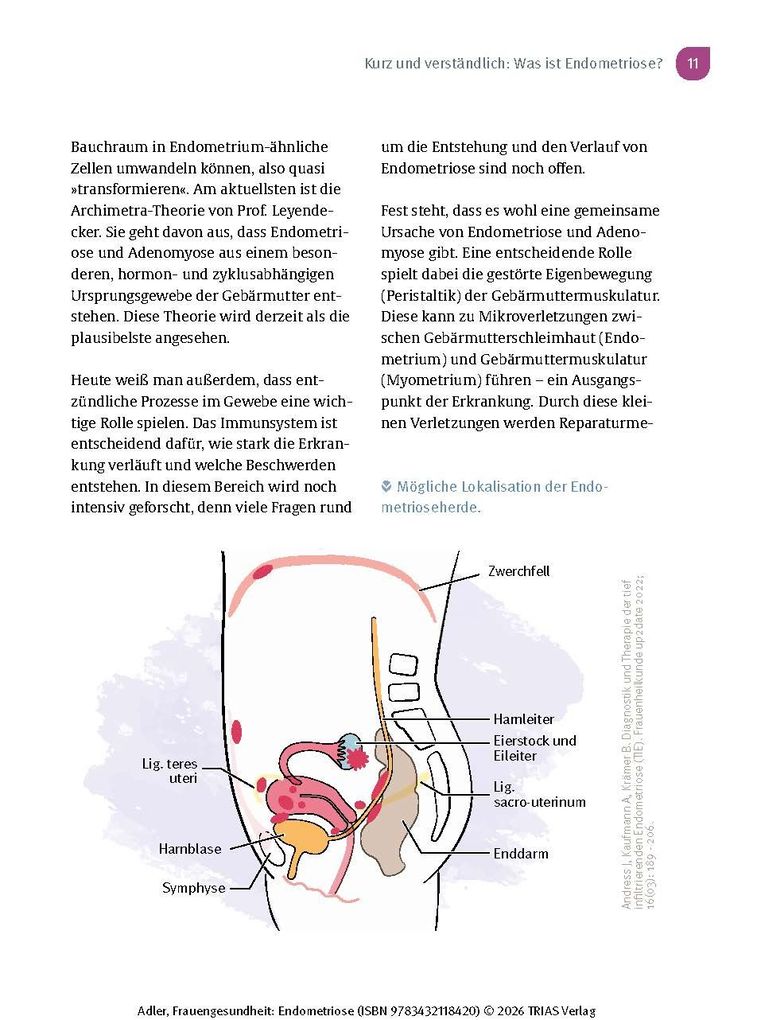Weitere Ansicht: Frauengesundheit: Endometriose | Christine Adler