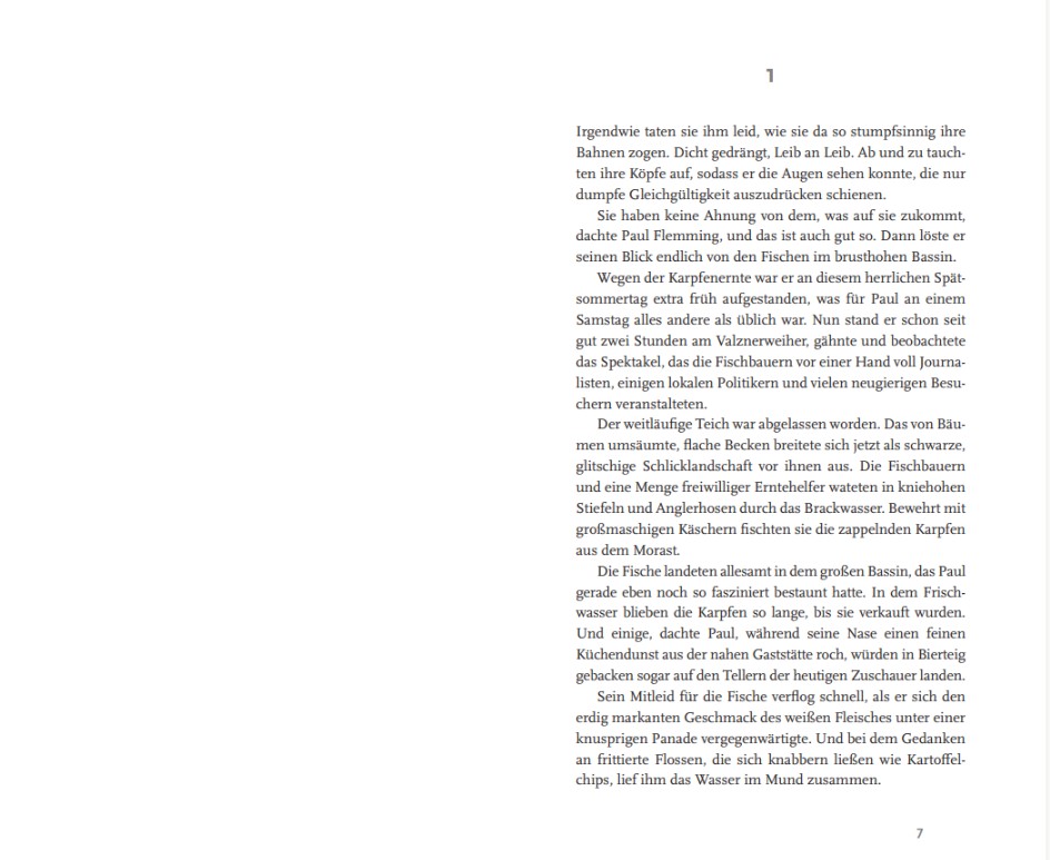 Weitere Ansicht: Hausers Bruder | Jan Beinßen