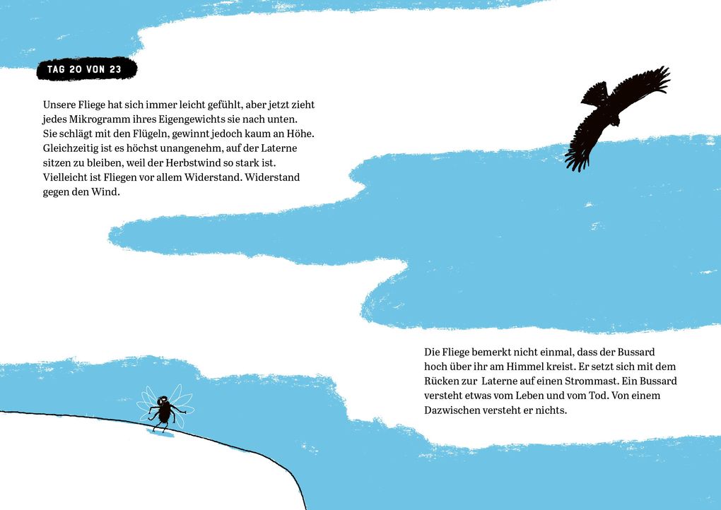 Weitere Ansicht: Biografie einer Fliege | Jaap Robben, Birgit Erdmann