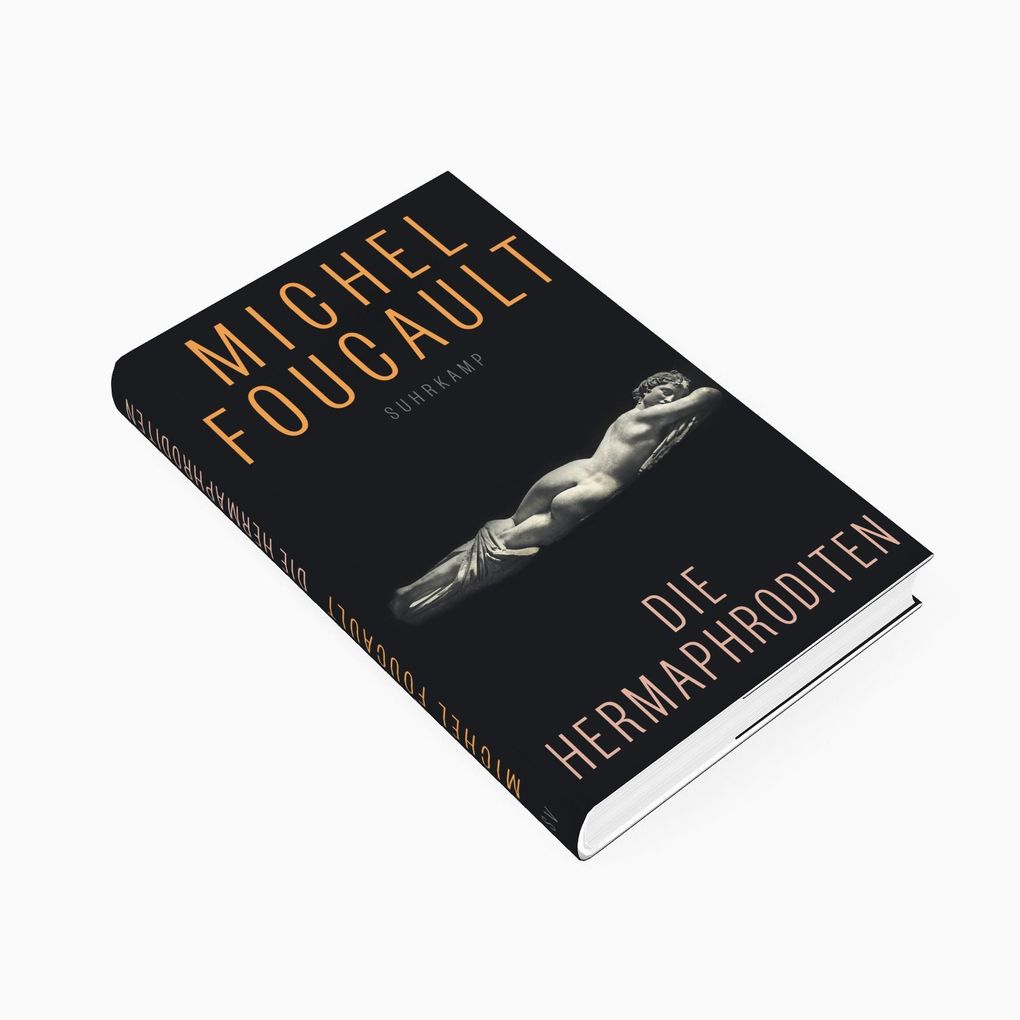 Weitere Ansicht: Die Hermaphroditen | Michel Foucault
