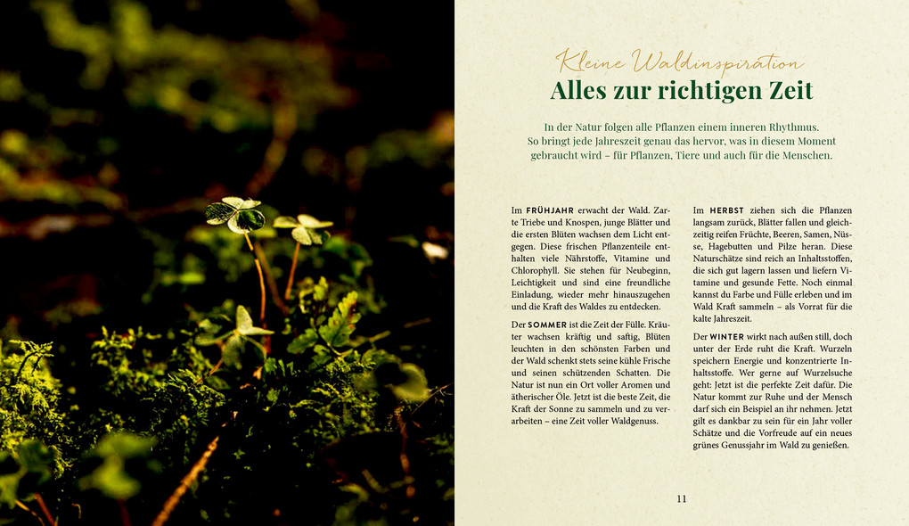 Weitere Ansicht: Waldgenuss für dich | Dajana Krüger