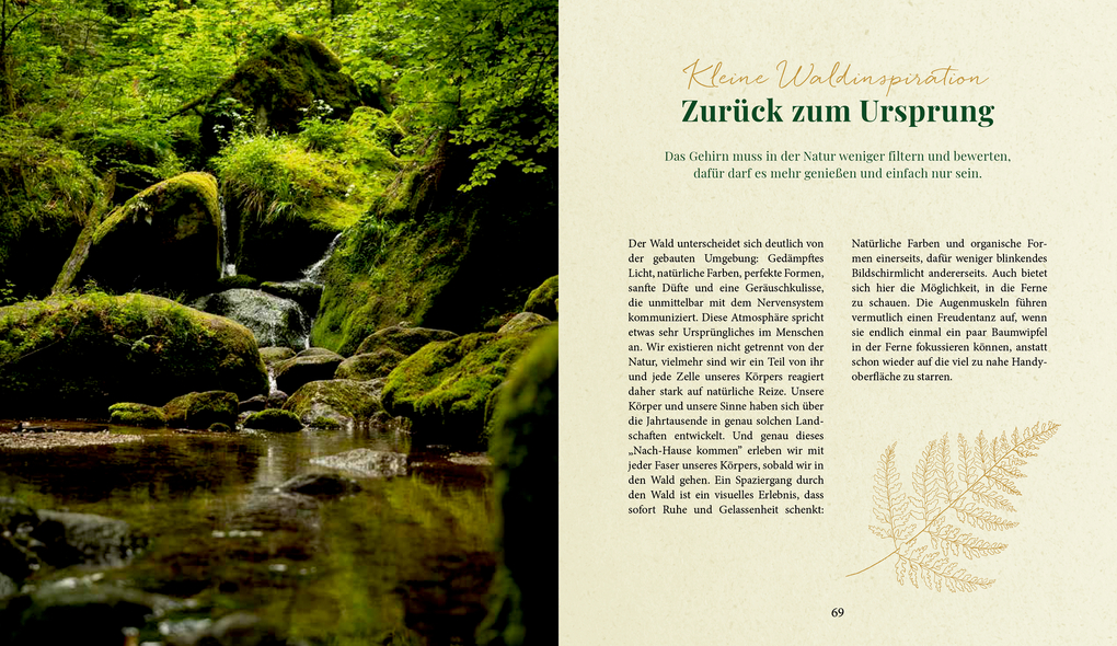 Weitere Ansicht: Waldgenuss für dich | Dajana Krüger