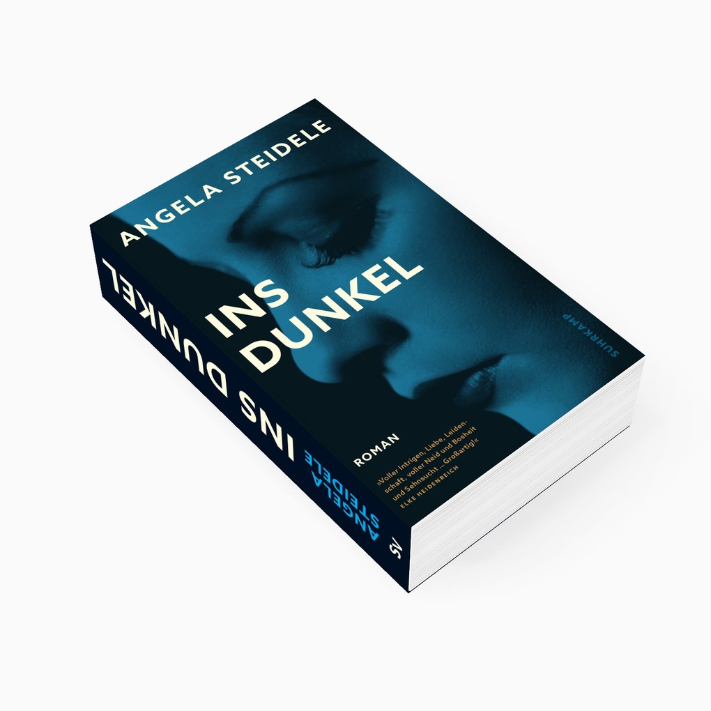 Weitere Ansicht: Ins Dunkel | Angela Steidele