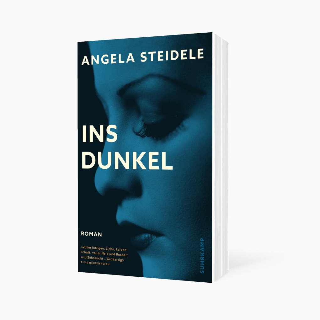 Weitere Ansicht: Ins Dunkel | Angela Steidele