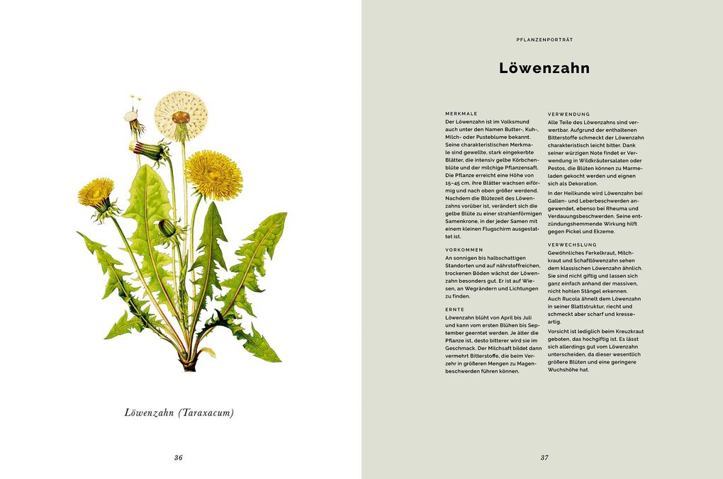 Weitere Ansicht: Das Wald-Kochbuch | Bernadette Wörndl