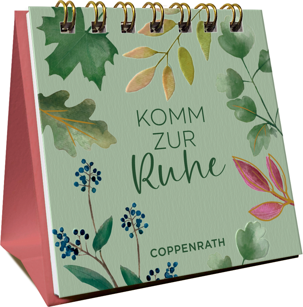 Weitere Ansicht: Komm zur Ruhe
