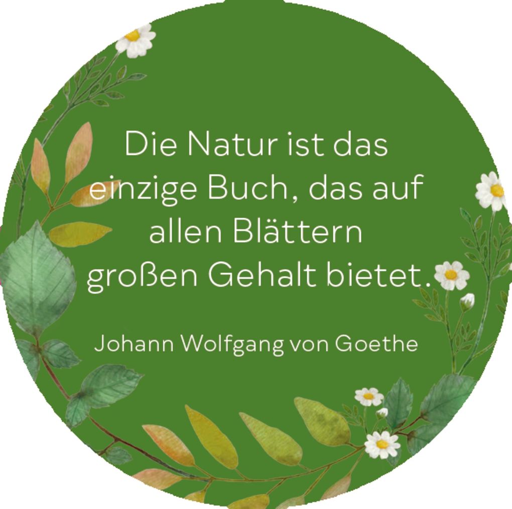 Weitere Ansicht: Sprüchedose - Nimm eins! Momente zum Durchatmen für dich