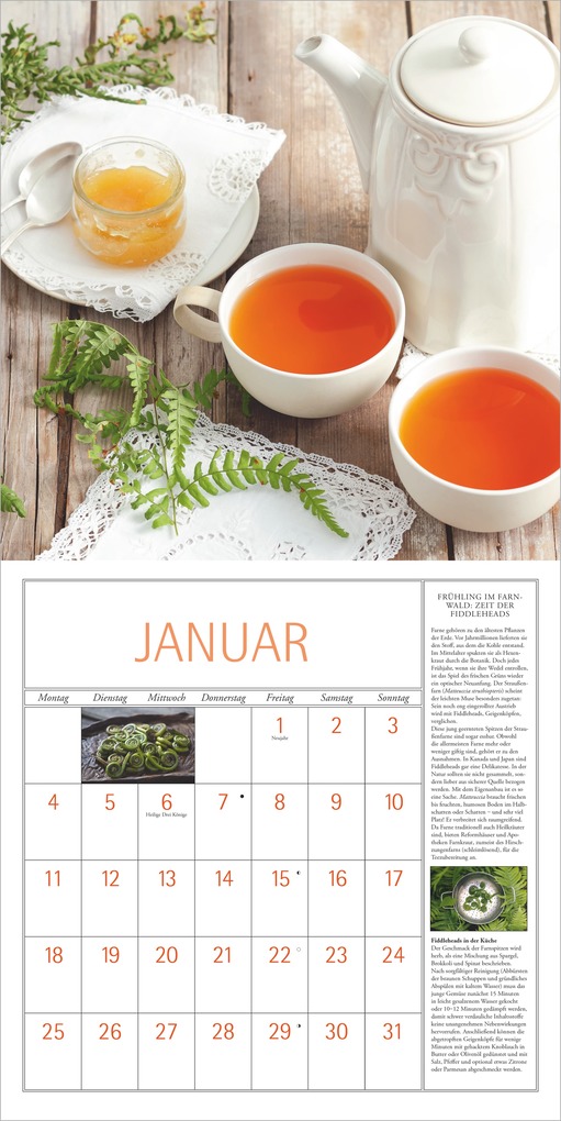 Weitere Ansicht: DuMonts Kräuter Kalender 2027 | Neumann Verlage GmbH & Co. KG