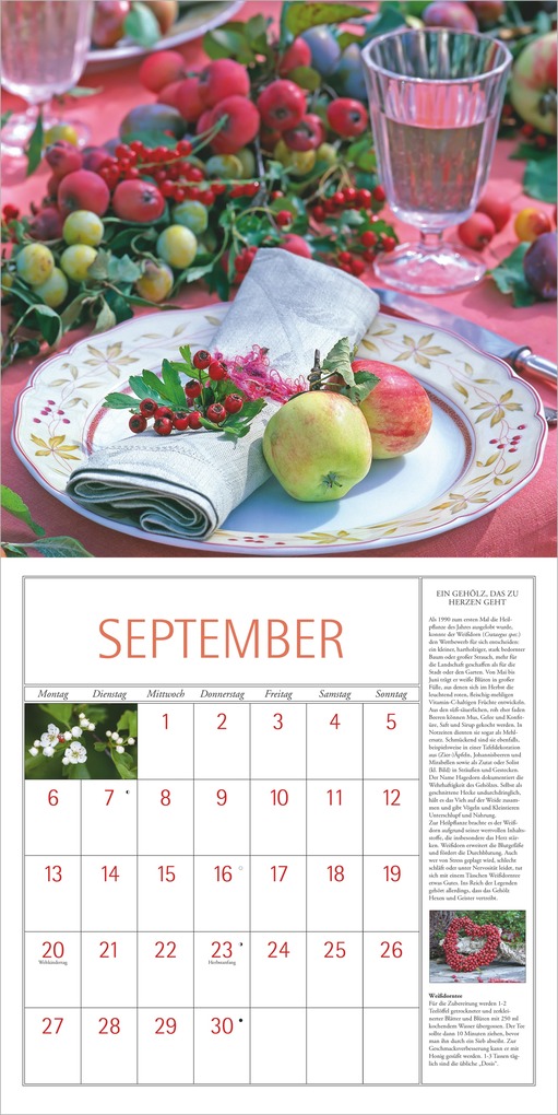 Weitere Ansicht: DuMonts Kräuter Kalender 2027 | Neumann Verlage GmbH & Co. KG