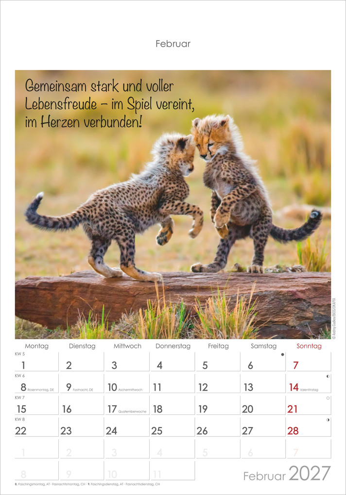 Weitere Ansicht: Kleine Freunde 2027 | Neumann Verlage GmbH & Co. KG