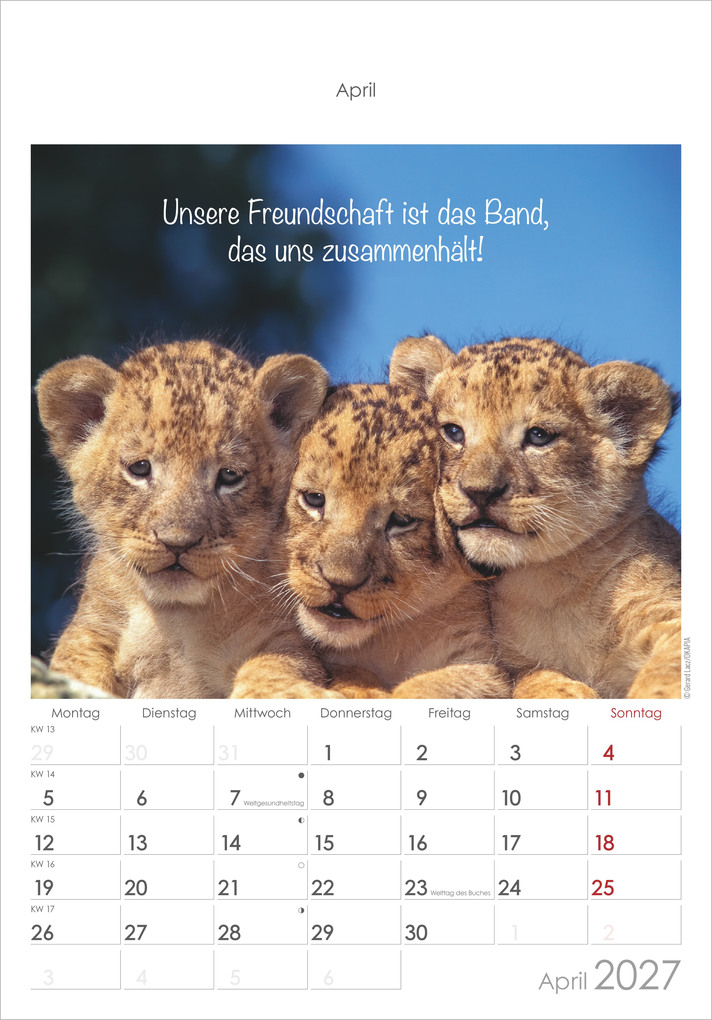 Weitere Ansicht: Kleine Freunde 2027 | Neumann Verlage GmbH & Co. KG