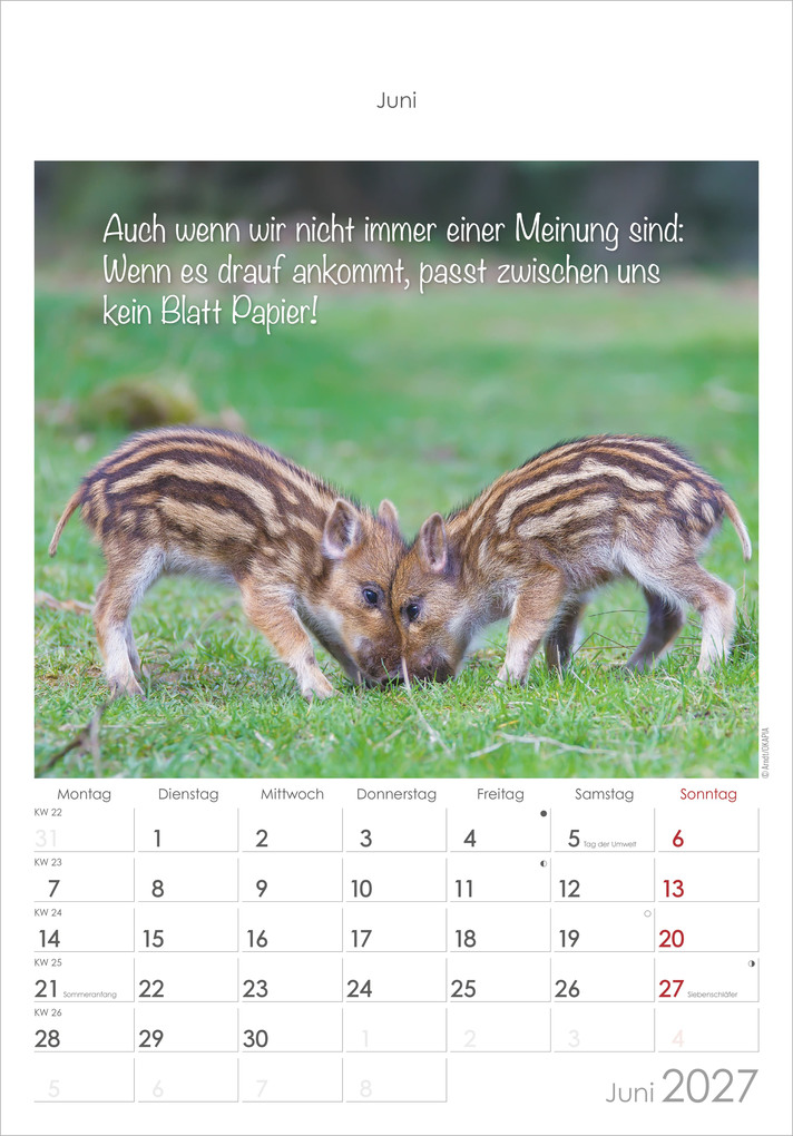 Weitere Ansicht: Kleine Freunde 2027 | Neumann Verlage GmbH & Co. KG