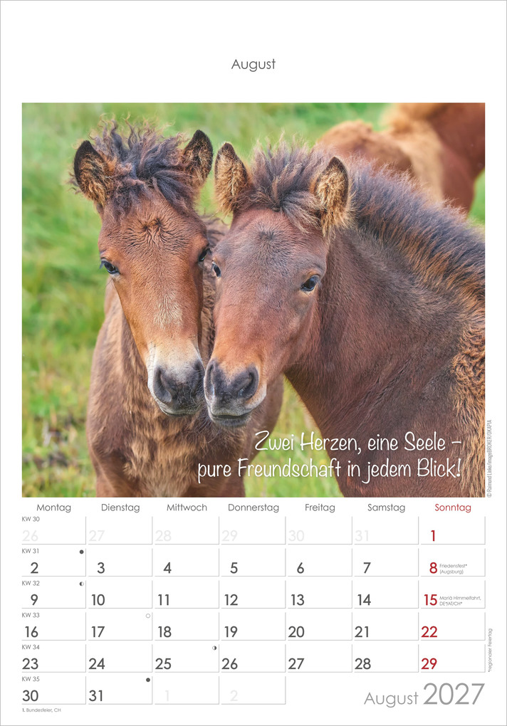 Weitere Ansicht: Kleine Freunde 2027 | Neumann Verlage GmbH & Co. KG