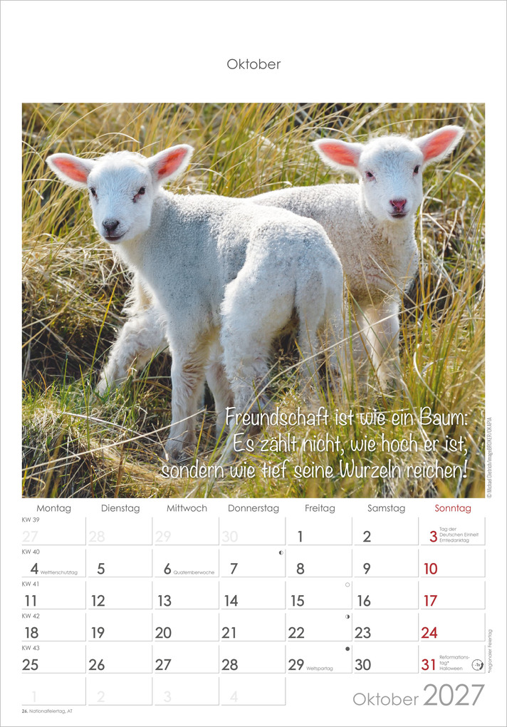 Weitere Ansicht: Kleine Freunde 2027 | Neumann Verlage GmbH & Co. KG