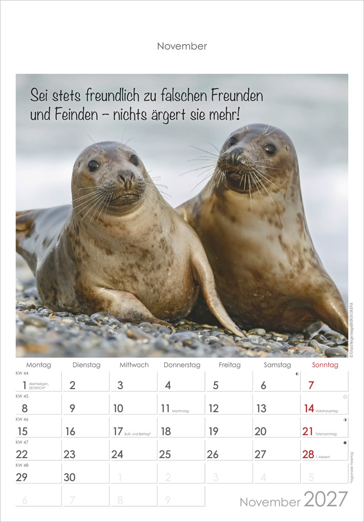 Weitere Ansicht: Kleine Freunde 2027 | Neumann Verlage GmbH & Co. KG