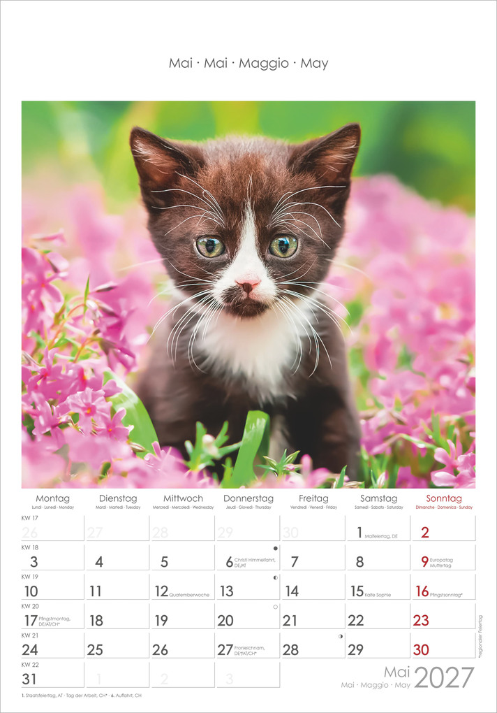 Weitere Ansicht: Katzen 2027 | Neumann Verlage GmbH & Co. KG