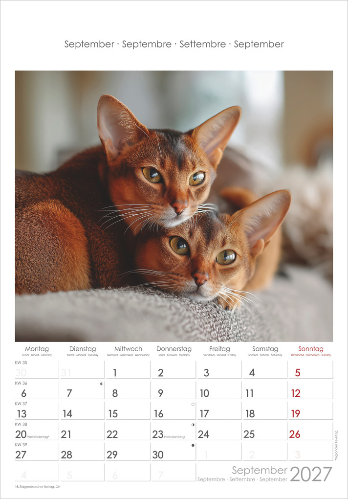 Weitere Ansicht: Katzen 2027 | Neumann Verlage GmbH & Co. KG