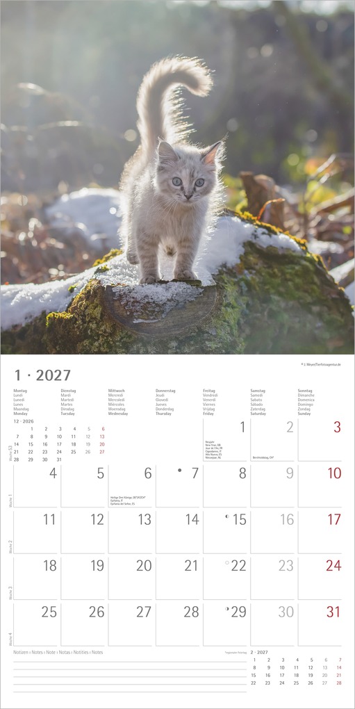 Weitere Ansicht: Samtpfötchen 2027 | Neumann Verlage GmbH & Co. KG