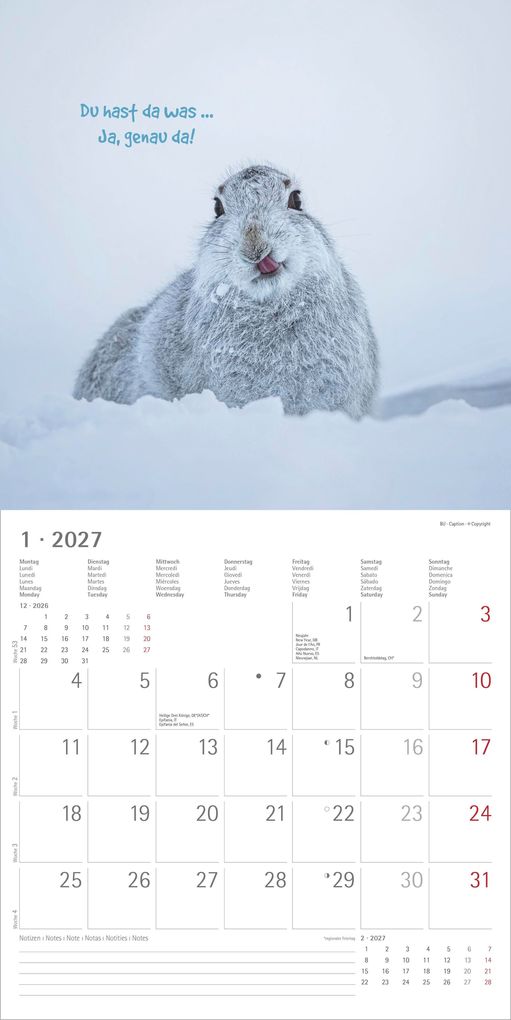Weitere Ansicht: Funny Animals 2027 | Neumann Verlage GmbH & Co. KG