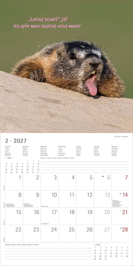 Weitere Ansicht: Funny Animals 2027 | Neumann Verlage GmbH & Co. KG