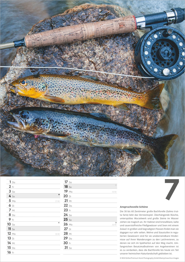 Weitere Ansicht: Der große Angelkalender 2027 | Neumann Verlage GmbH & Co. KG