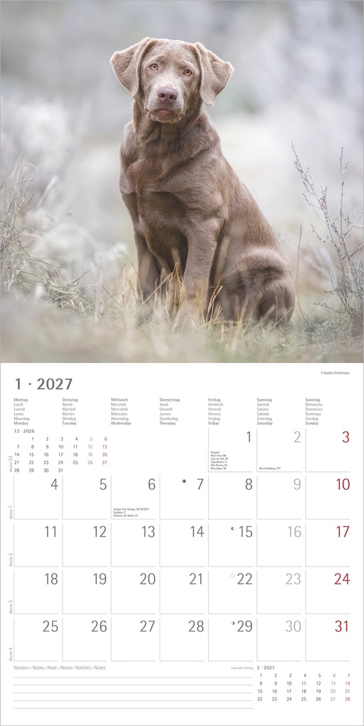 Weitere Ansicht: Hunde 2027 | Neumann Verlage GmbH & Co. KG