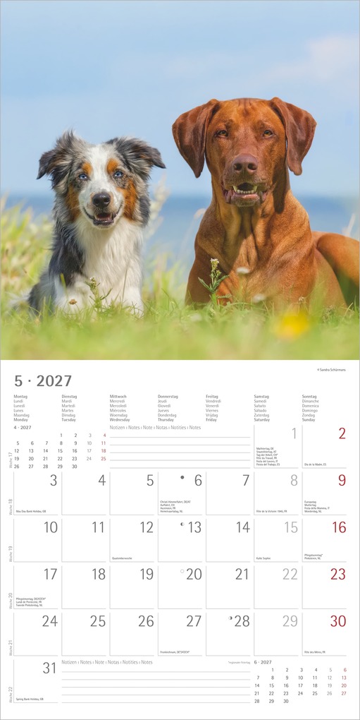 Weitere Ansicht: Hunde 2027 | Neumann Verlage GmbH & Co. KG