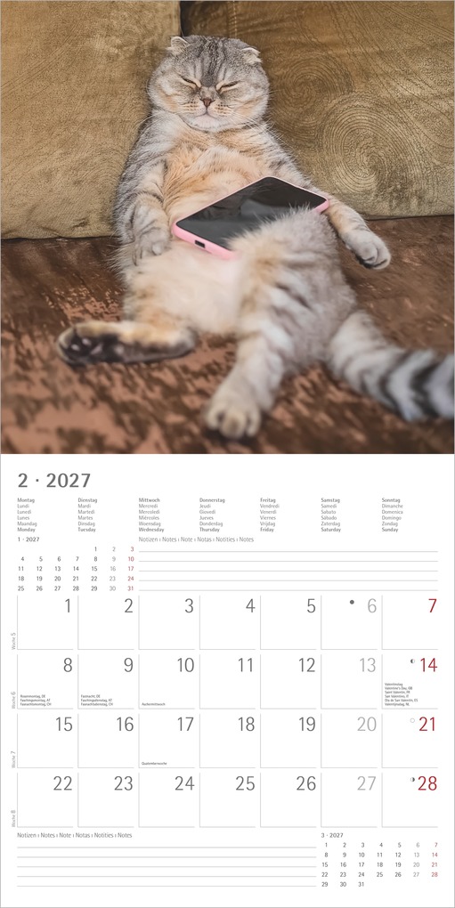 Weitere Ansicht: Funny Cats 2027 | Neumann Verlage GmbH & Co. KG