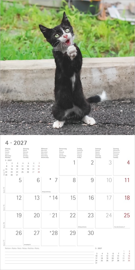 Weitere Ansicht: Funny Cats 2027 | Neumann Verlage GmbH & Co. KG