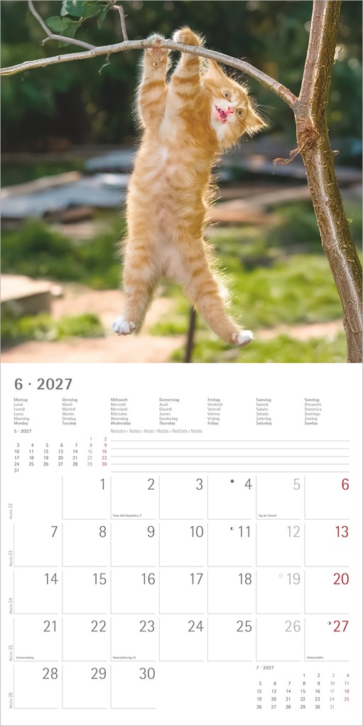 Weitere Ansicht: Funny Cats 2027 | Neumann Verlage GmbH & Co. KG