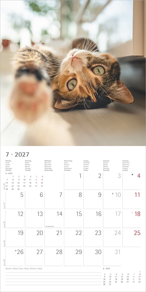 Weitere Ansicht: Funny Cats 2027 | Neumann Verlage GmbH & Co. KG