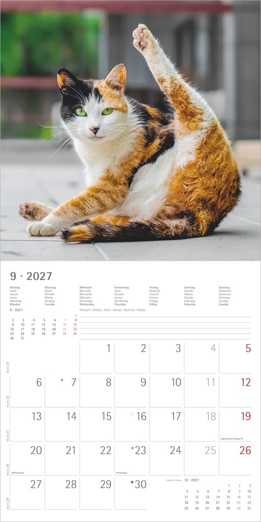 Weitere Ansicht: Funny Cats 2027 | Neumann Verlage GmbH & Co. KG