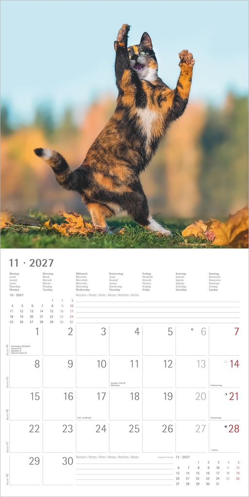 Weitere Ansicht: Funny Cats 2027 | Neumann Verlage GmbH & Co. KG
