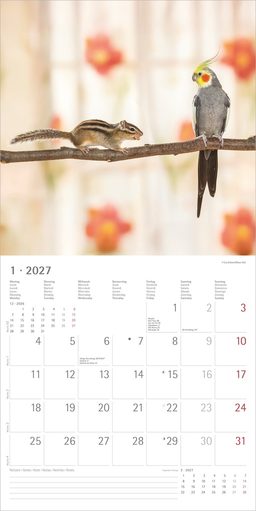 Weitere Ansicht: Tierfreundschaften 2027 | Neumann Verlage GmbH & Co. KG