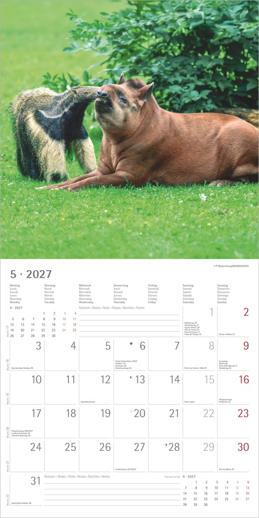 Weitere Ansicht: Tierfreundschaften 2027 | Neumann Verlage GmbH & Co. KG