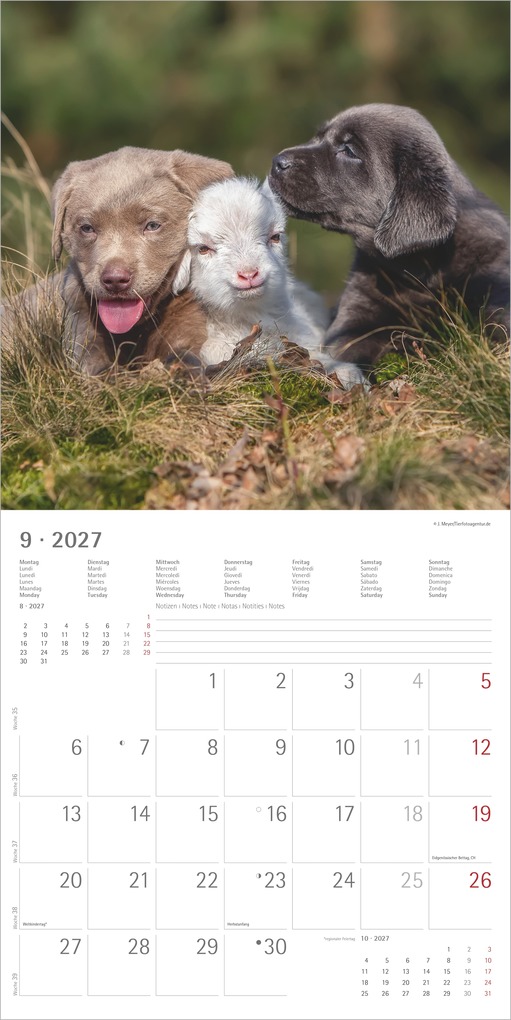 Weitere Ansicht: Tierfreundschaften 2027 | Neumann Verlage GmbH & Co. KG