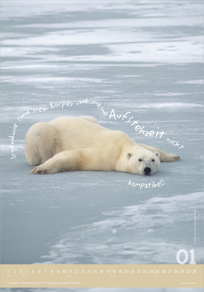 Weitere Ansicht: Tierisch cool! 2027 | Neumann Verlage GmbH & Co. KG