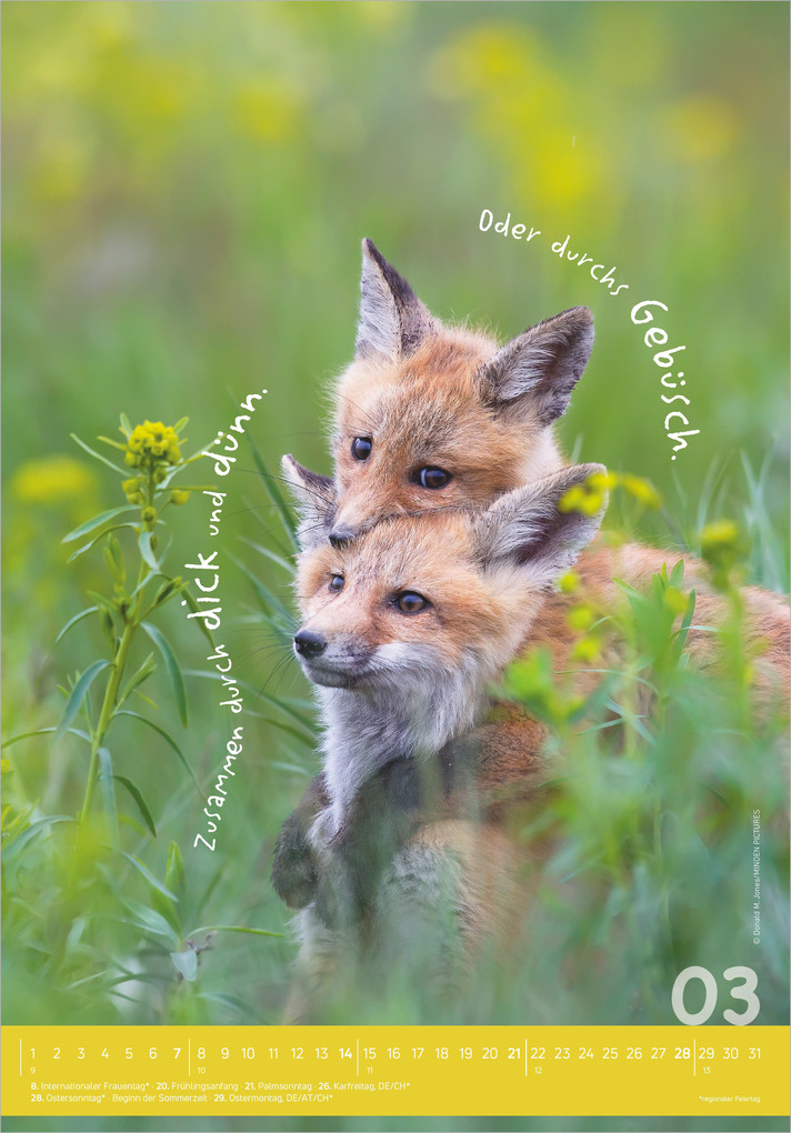 Weitere Ansicht: Tierisch cool! 2027 | Neumann Verlage GmbH & Co. KG