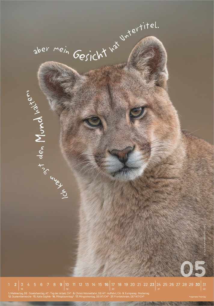 Weitere Ansicht: Tierisch cool! 2027 | Neumann Verlage GmbH & Co. KG