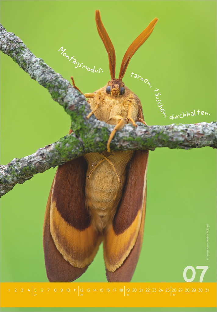 Weitere Ansicht: Tierisch cool! 2027 | Neumann Verlage GmbH & Co. KG