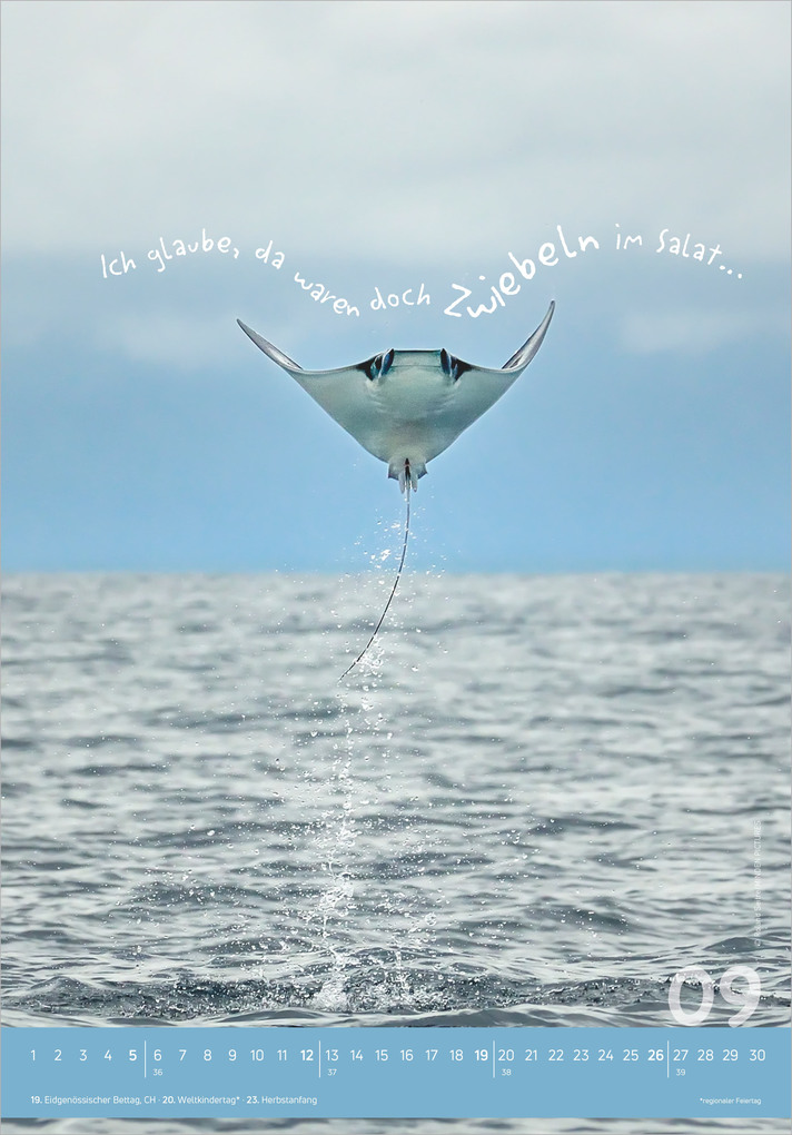 Weitere Ansicht: Tierisch cool! 2027 | Neumann Verlage GmbH & Co. KG