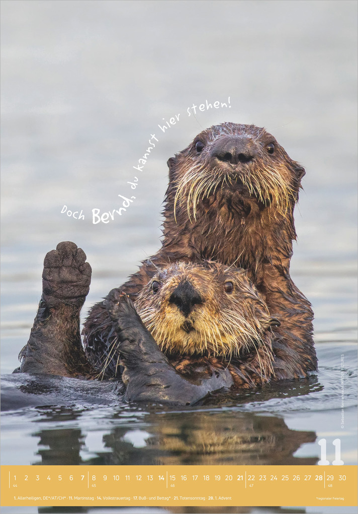 Weitere Ansicht: Tierisch cool! 2027 | Neumann Verlage GmbH & Co. KG