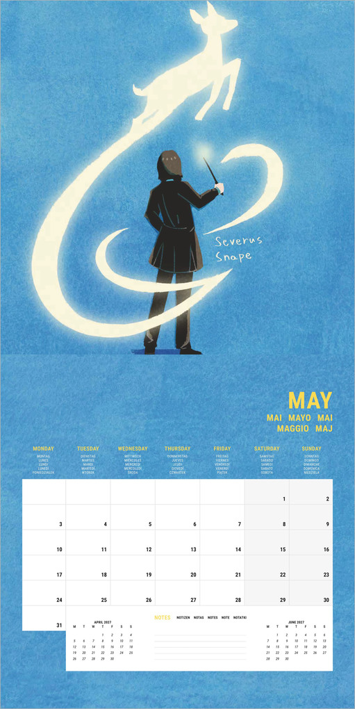 Weitere Ansicht: HARRY POTTER (CLASSIC) 2027 | Neumann Verlage GmbH & Co. KG