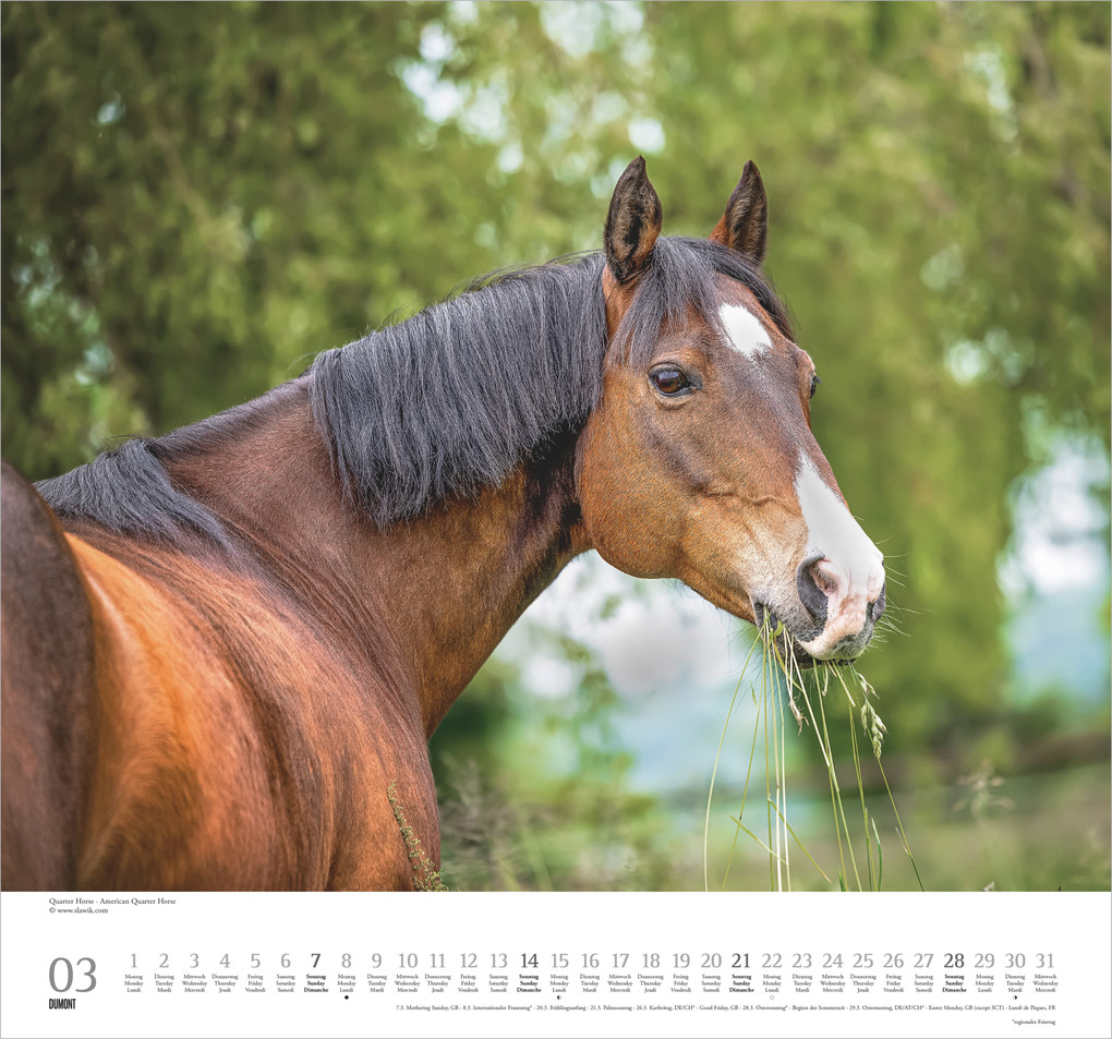 Weitere Ansicht: Geliebte Pferde 2027 | Neumann Verlage GmbH & Co. KG