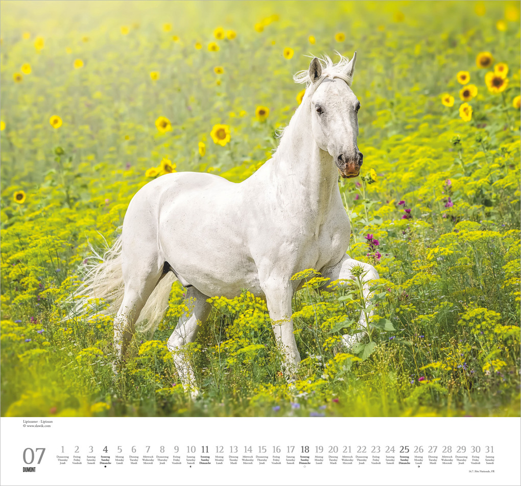 Weitere Ansicht: Geliebte Pferde 2027 | Neumann Verlage GmbH & Co. KG